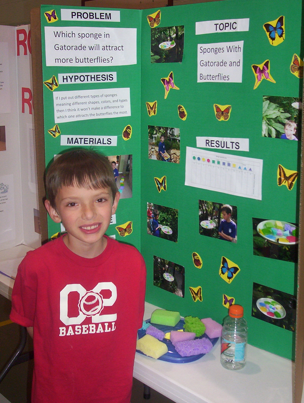 Science Fair 2008