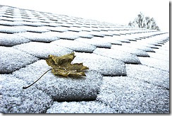 54815440_6b461e3d54_m